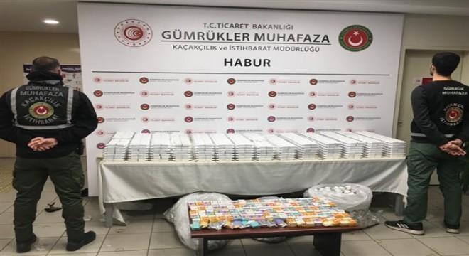 Habur'da kaçakçılık operasyonları