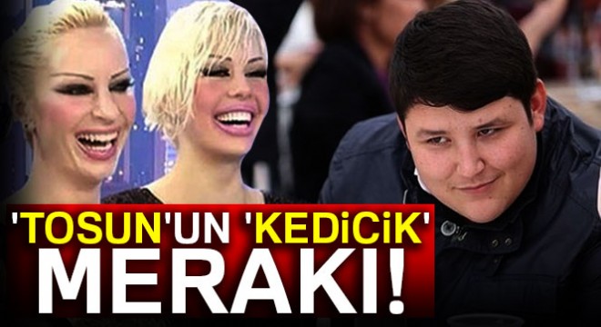 'Tosun'un 'kedicik' merakı