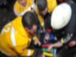 Yola çıkan köpek faciası