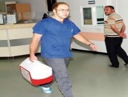 Organ nakline ince ayar