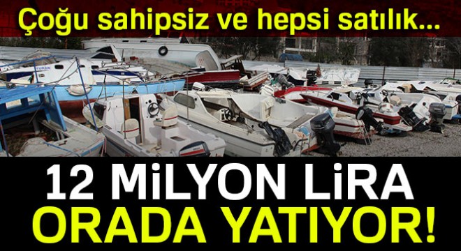 12 milyon değerindeki tekneler çürümeye terk edildi
