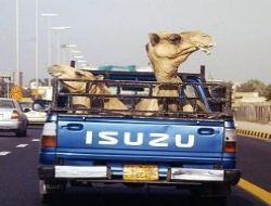 Libya fotoğrafları sergisi açıldı