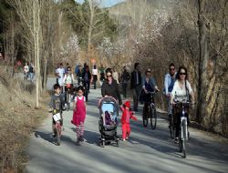 Siyasete Park Molası