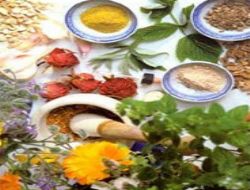 Domuz gribine bitkisel çözüm