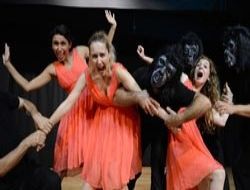 İsim Şehir Hayvan Şinasi Sahnesi'nde