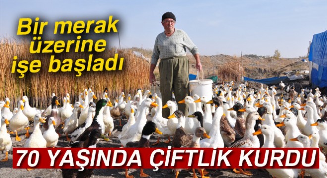 70 yaşında organik ördek çiftliği kurdu
