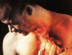 Kalbiniz için en favori 4 yiyecek