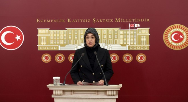 AK PARTİ'Lİ SAMANCI'NIN BASIN TOPLNTISI