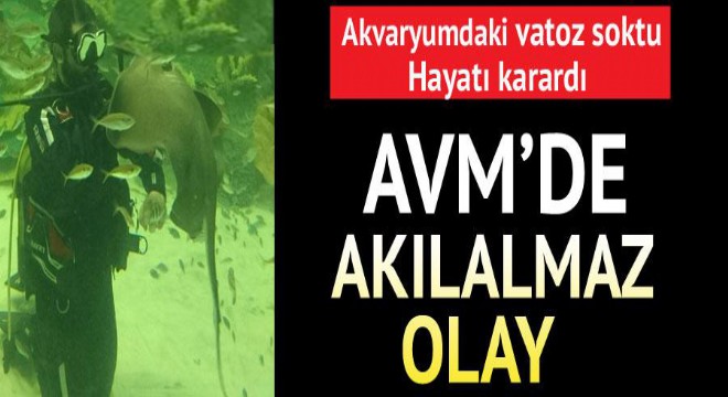 AVM'de akılalmaz olay: Akvaryumdaki vatoz soktu, hayatı karardı