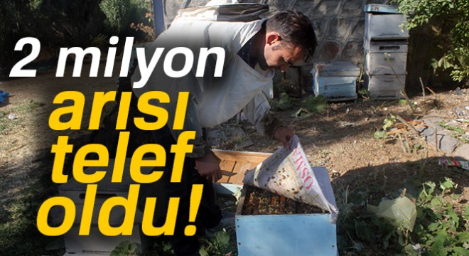 Ağrılı arıcının 2 milyon arısı telef oldu