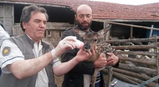Bakan Eroğlu: “Yaban hayatını korumak vazifemizdir”
