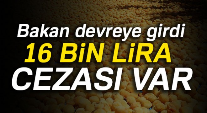 Bakan Tüfenkci, kayısıda kükürt oranları için devreye girdi