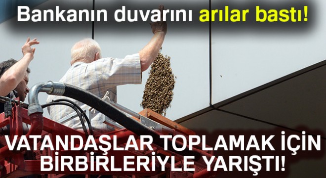 Bankanın duvarını arılar bastı