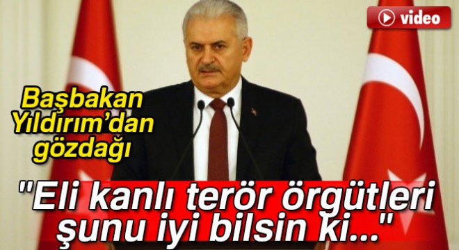 Başbakan Binali Yıldırım: 