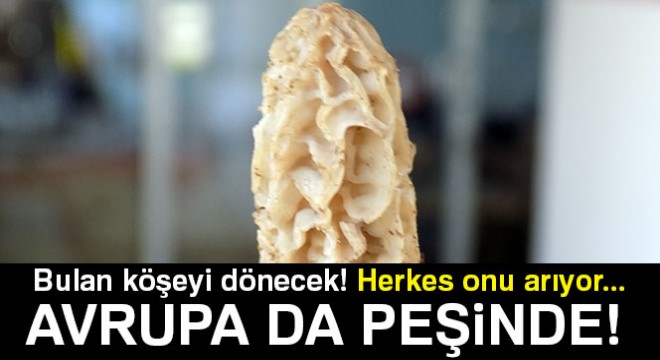 Bulan köşeyi dönecek! Herkes onu arıyor...