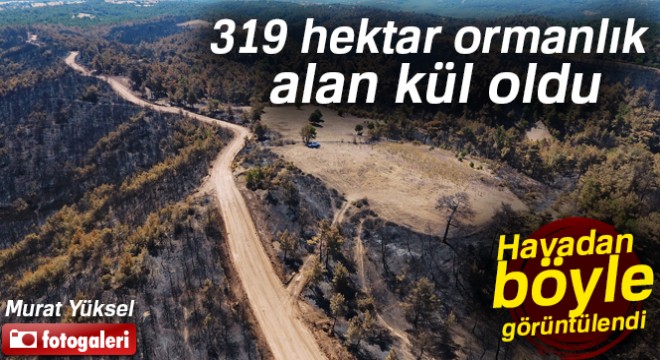 Çanakkale'de yanan orman alanları ilk kez drone ile görüntülendi