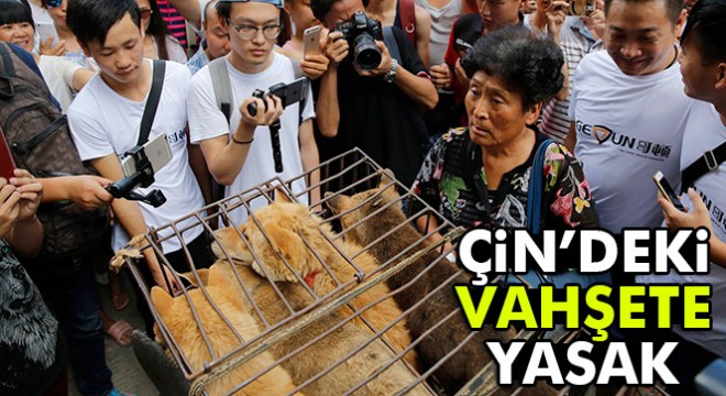 Çin'de 'Yulin Köpek Eti Festivali' yasaklandı