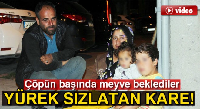 Çöp kutusunun başında meyve beklediler