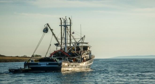 Cumhurbaşkanı Erdoğan, Su Ürünleri Avcılık Sezonu'nun açılışına katıldı