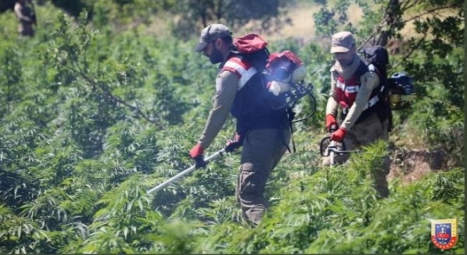 Diyarbakır ve Bingöl'de narko terör operasyonu