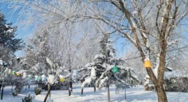 Doğu Anadolu'da Dondurucu Soğuklar Hayatı Olumsuz Etkiliyor