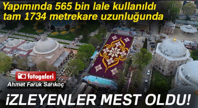 Dünyanın en büyük lale halısı havadan görüntülendi