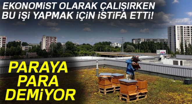 Ekonomist olarak çalışırken bu işi yapmak için istifa etti! Paraya para demiyor