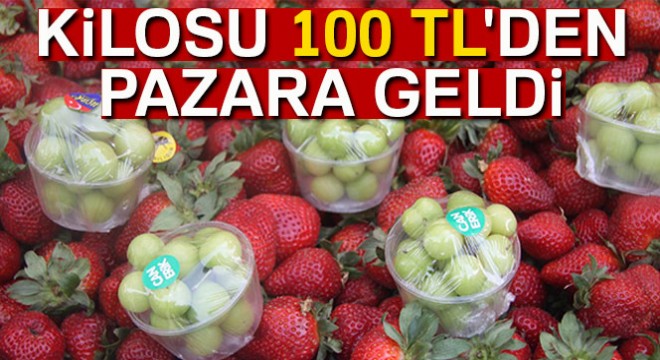 Erik kilosu 100 TL'den pazara geldi