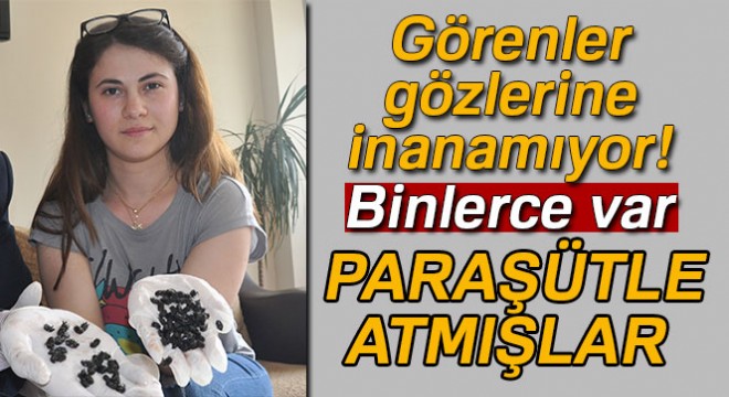 Görenler gözlerine inanamıyor! Binlerce var