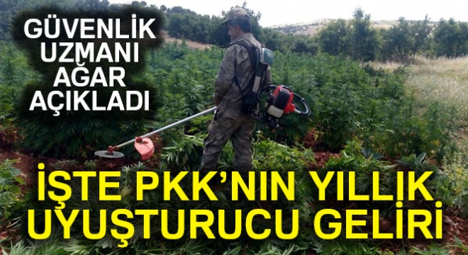 Güvenlik Uzmanı Ağar, PKK'nın uyuşturucu gelirlerini açıkladı