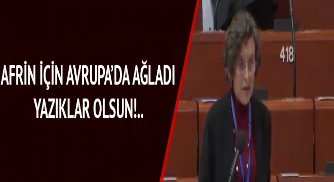 HDP'li Filiz Kerestecioğlu, Türkiye'yi Avrupa'ya şikayet etti