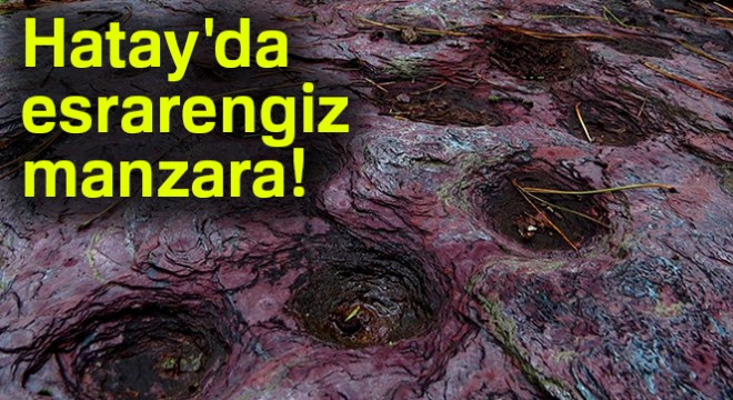 Hatay'da esrarengiz manzara!