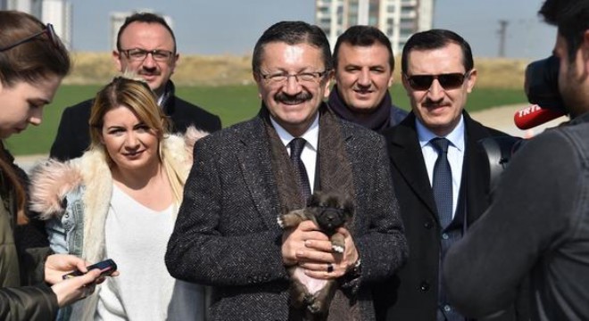 Hayvan dostu parklar inşa edeceğiz