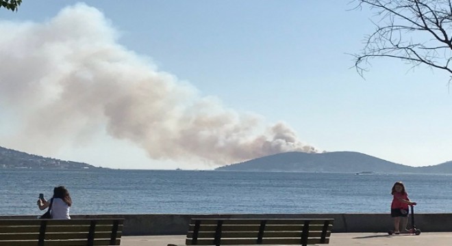 Heybeliada'da yangın