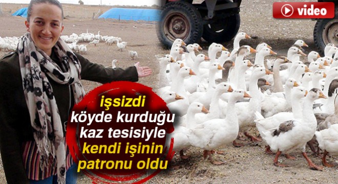 İşsizdi, köyde kurduğu kaz tesisiyle kendi işinin patronu oldu