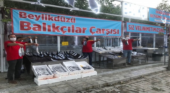 İstanbul'da palamut bayramı