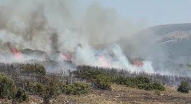 İzmir'deki yangın sürüyor... Turgutlu sınırına ulaştı...