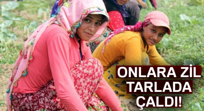 Kız çocuklarına zil tarlada çaldı