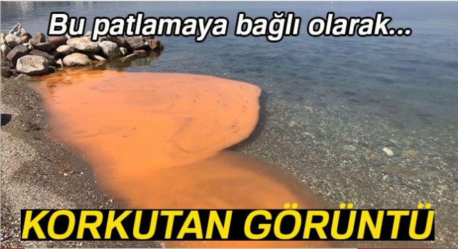 Korkutan görüntü!