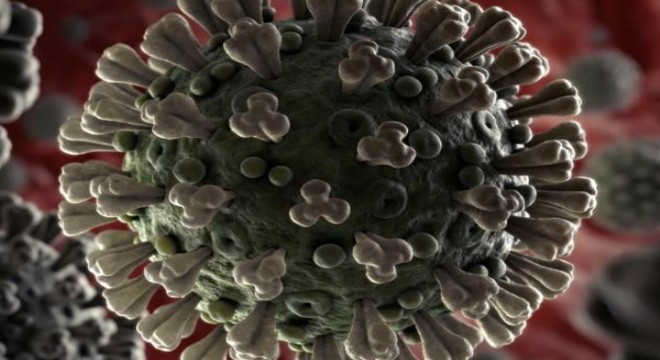 Koronavirüs salgınında ölenlerin sayısı 5 bin 659'a ulaştı