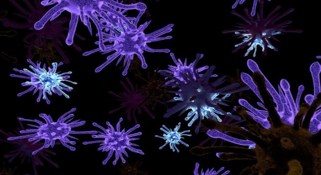 Koronavirüs salgınında ölenlerin sayısı 6 bin 080'e ulaştı