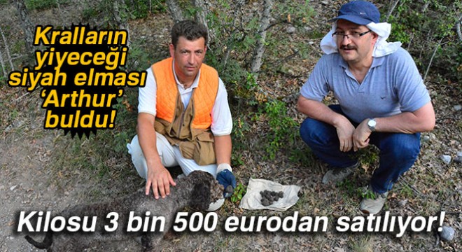 Kralların yiyeceği siyah elması ‘Arthur' buldu