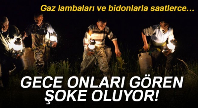 Kurbağa avcıları turizm sezonuna hazır