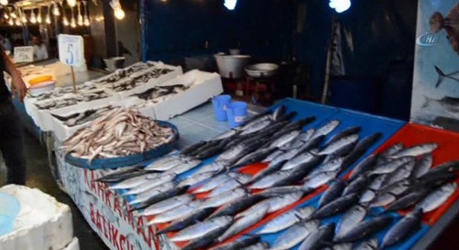 Kuzey Kore'nin hidrojen bombası denemeleri balığı vurdu