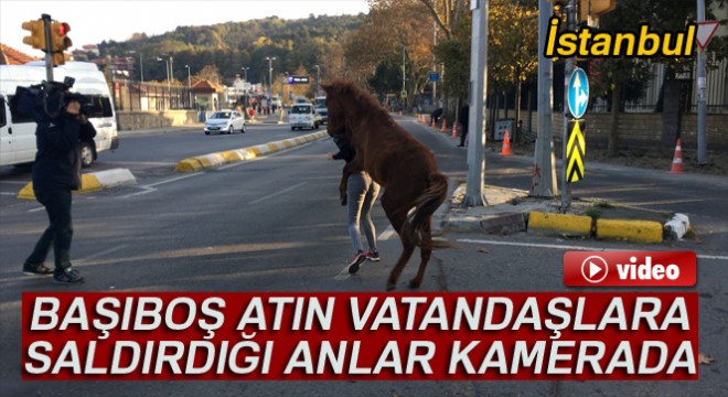 Sarıyer'de başıboş atın vatandaşlara saldırdığı anlar kamerada