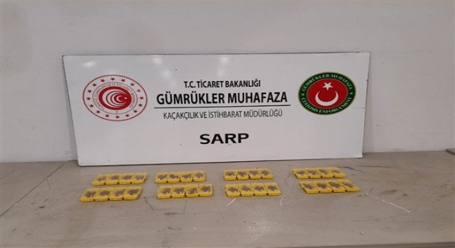 Sarp Sınır Kapısı'nda canlı arı yakalaması