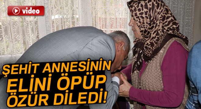 Şehit annesi: 'Hakaretlerde bulunmasını da tutuklanmasını da istemezdim'