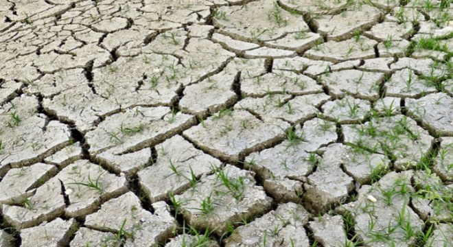 Tarım ve Orman Bakanlığı: 