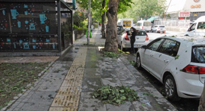 Tunalı'da çamur temizliği