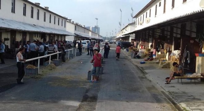 Veliefendi Hipodromu'nda operasyon!